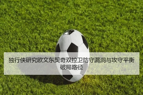 独行侠研究欧文东契奇双控卫防守漏洞与攻守平衡破局路径